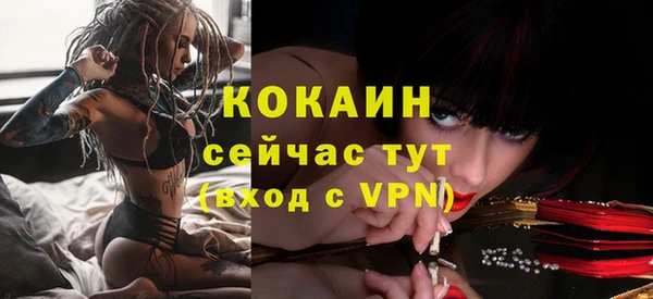 дмт Аркадак