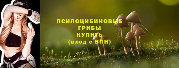 apvp Армянск