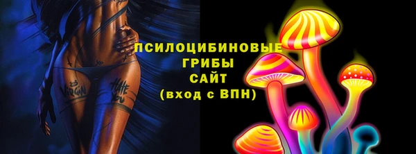 дмт Аркадак
