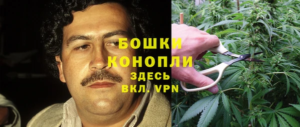 дмт Аркадак