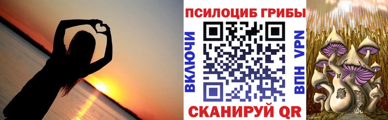 Галлюциногенные грибы мицелий  блэк спрут сайт  Сольвычегодск 
